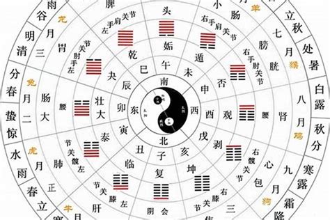 天干代表什麼|天干地支在古代的真实含义是什么？